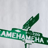 Deb Haugen家居生活